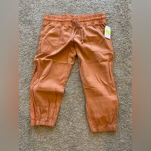 Time and Tru capris.  New 16/18